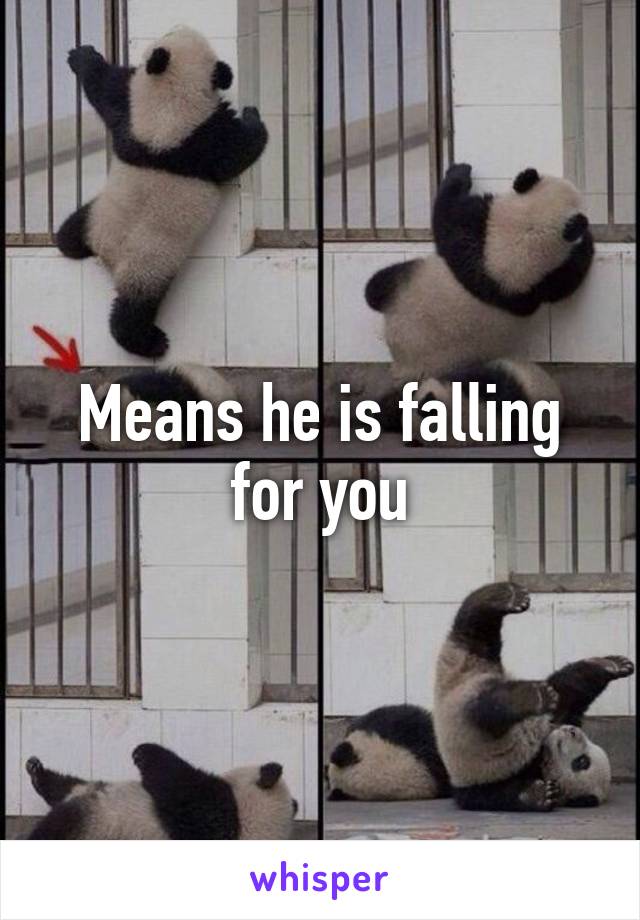 Means he is falling for you