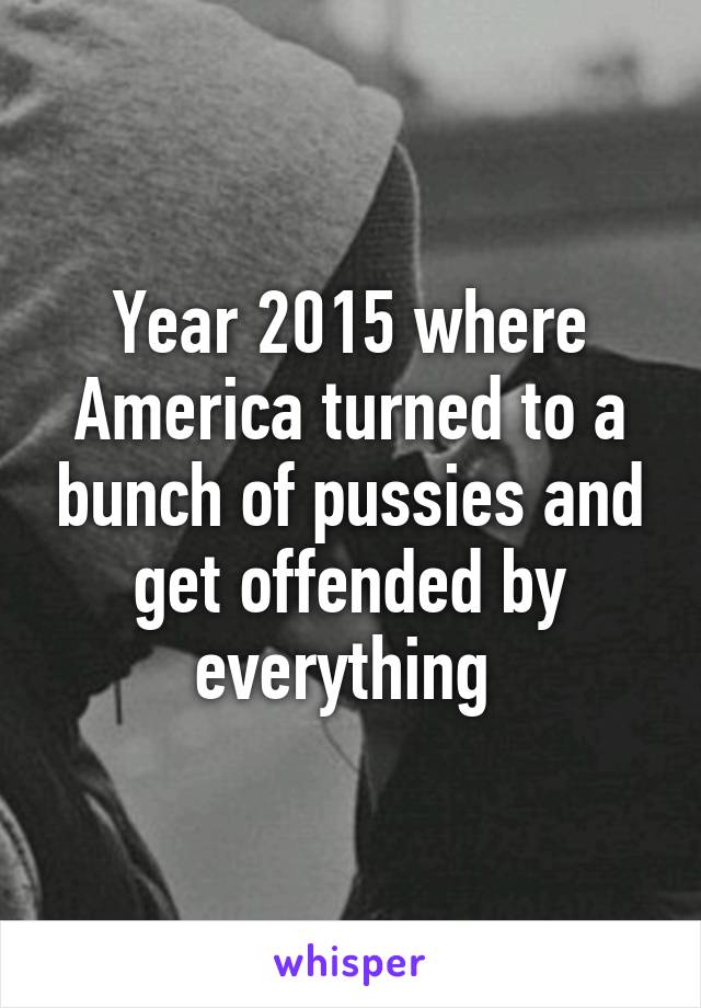 Year 2015 where America turned to a bunch of pussies and get offended by everything 