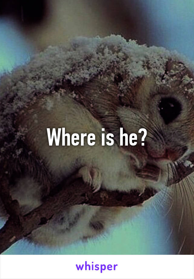 Where is he?