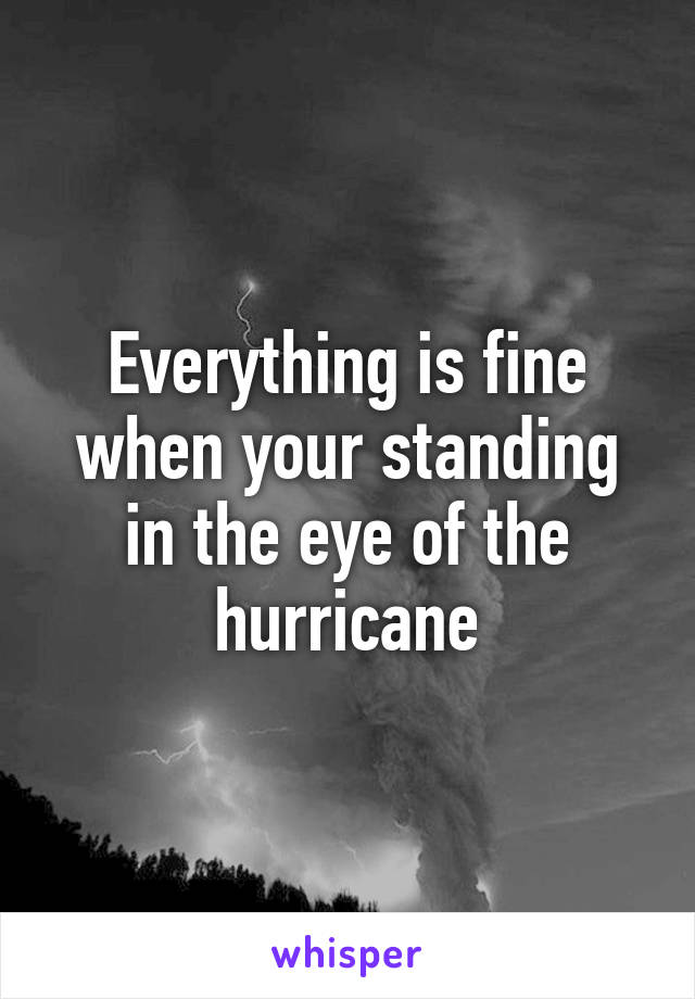 Everything is fine when your standing in the eye of the hurricane