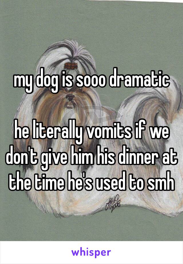 my dog is sooo dramatic 

he literally vomits if we don't give him his dinner at the time he's used to smh