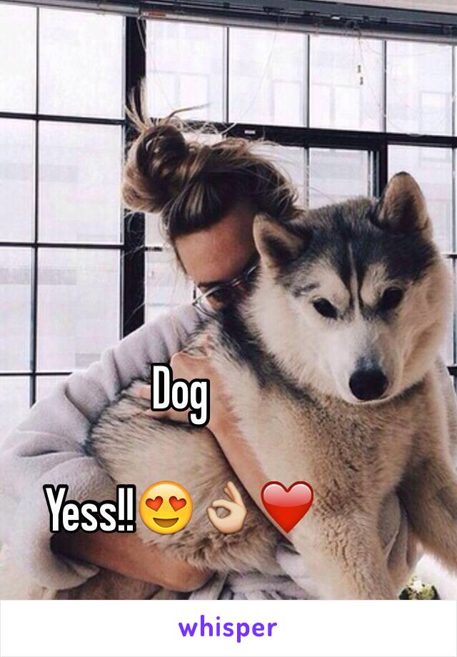 Dog

Yess!!😍👌❤️