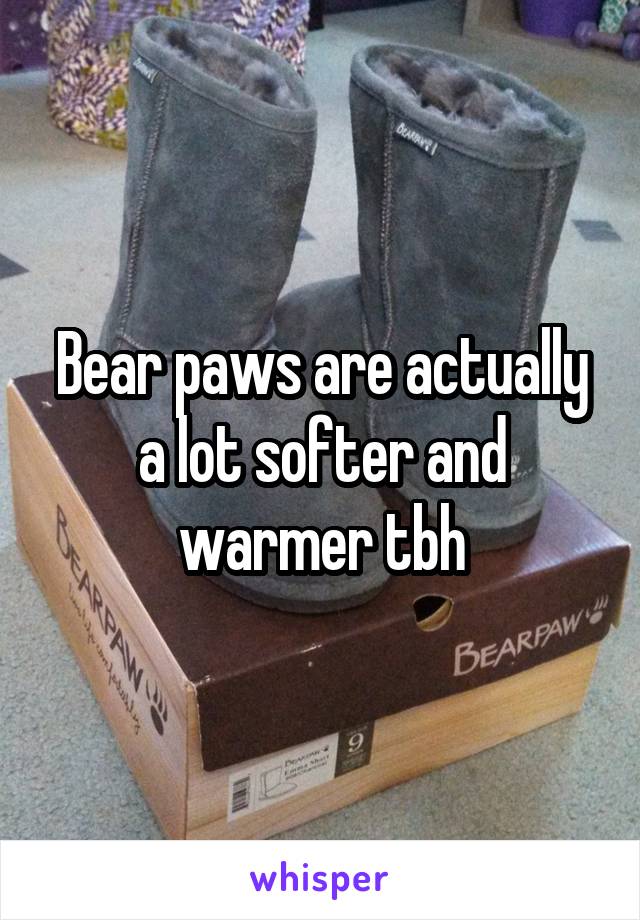 Bear paws are actually a lot softer and warmer tbh