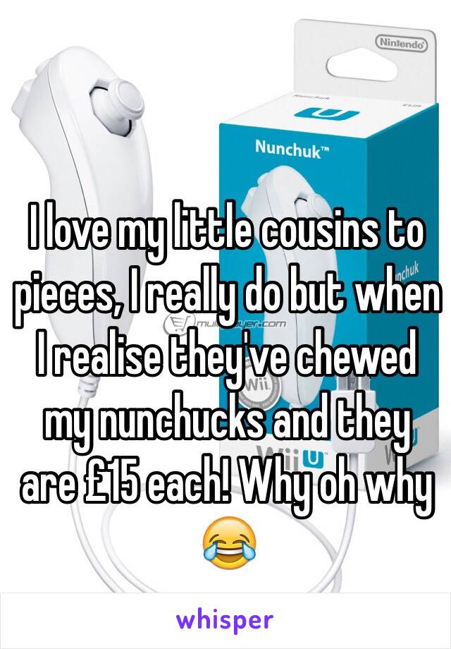 I love my little cousins to pieces, I really do but when I realise they've chewed my nunchucks and they are £15 each! Why oh why 😂 