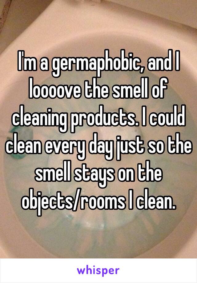I'm a germaphobic, and I loooove the smell of cleaning products. I could clean every day just so the smell stays on the objects/rooms I clean. 