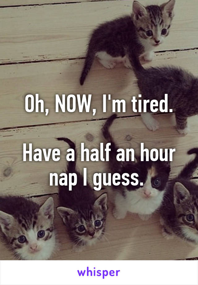 Oh, NOW, I'm tired.

Have a half an hour nap I guess. 