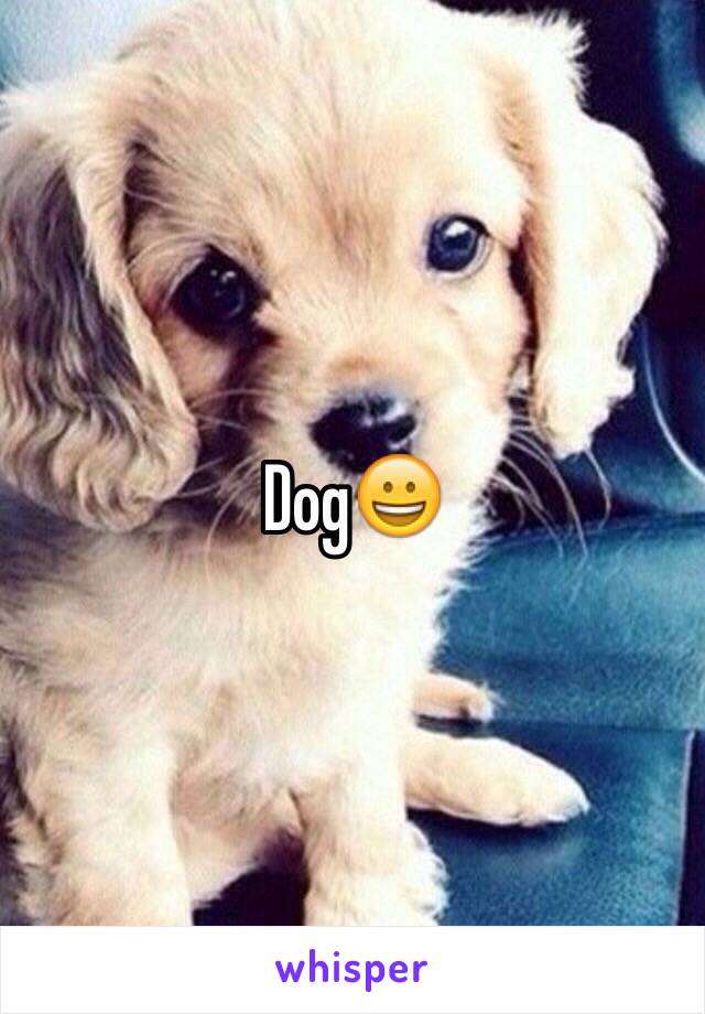 Dog😀