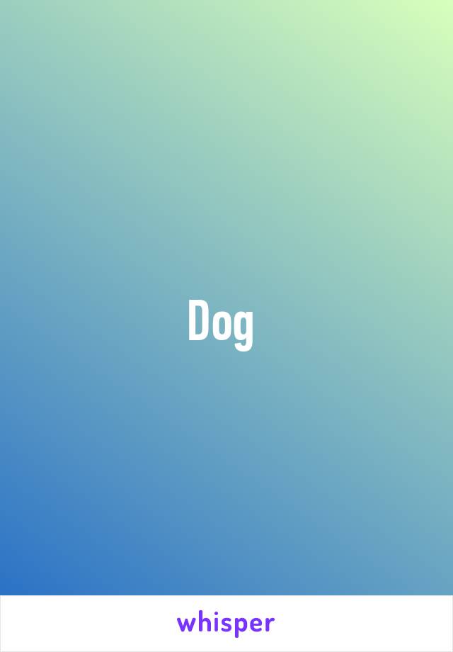 Dog 