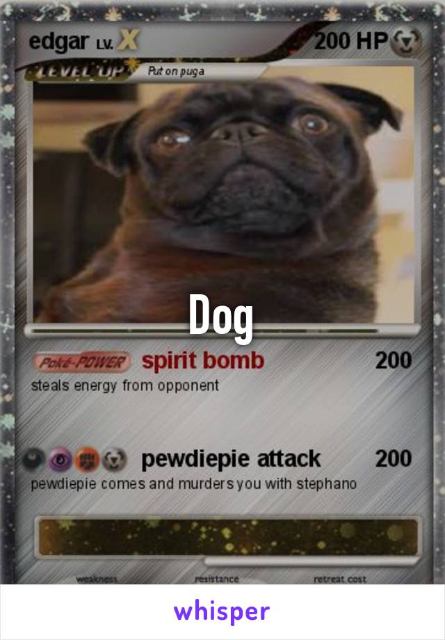 Dog