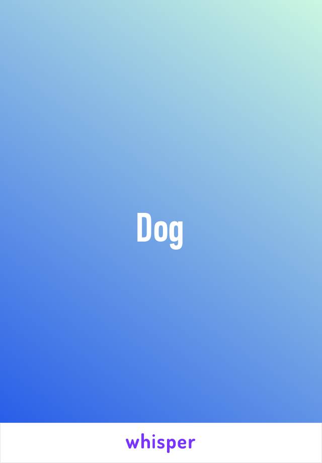 Dog