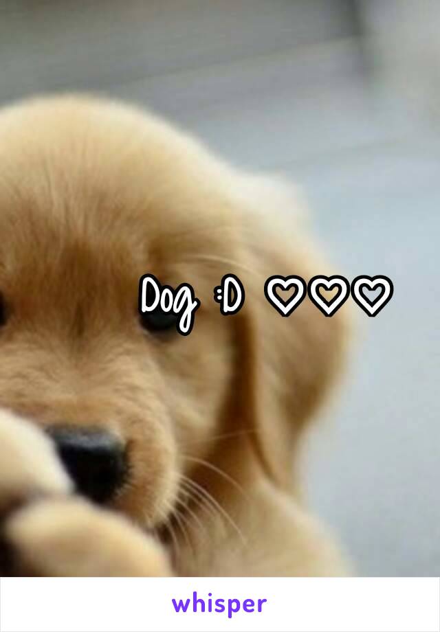 Dog :D ♡♡♡