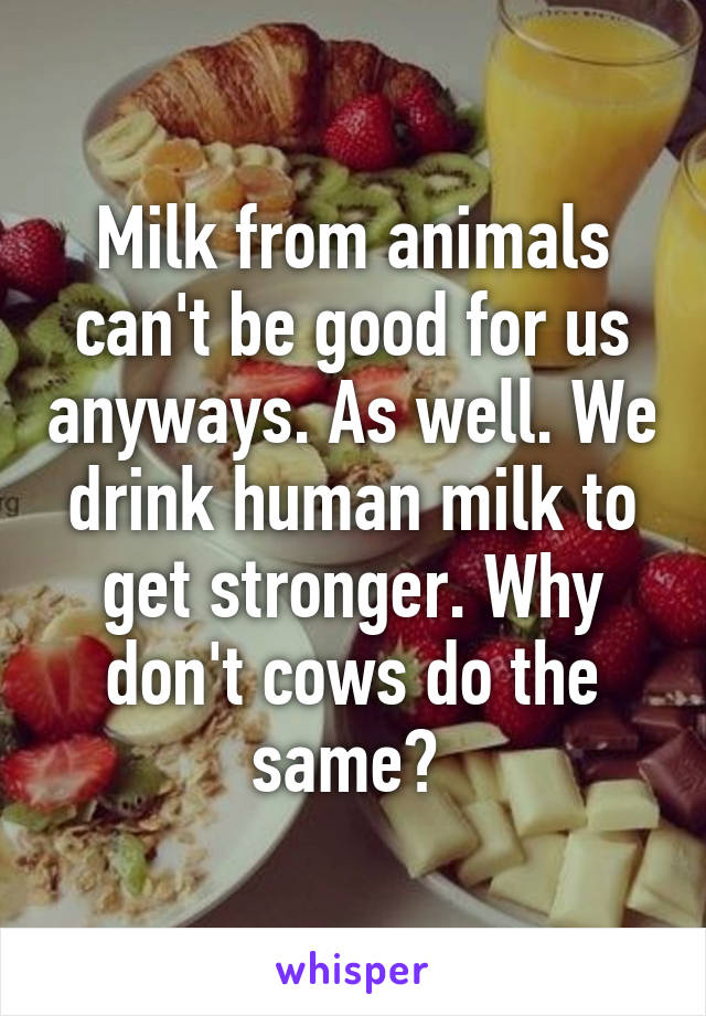 Milk from animals can't be good for us anyways. As well. We drink human milk to get stronger. Why don't cows do the same? 