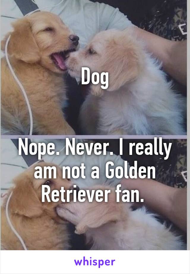 Dog


Nope. Never. I really am not a Golden Retriever fan. 