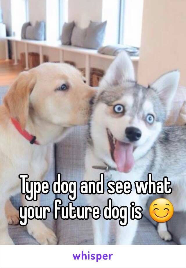 Type dog and see what your future dog is 😊