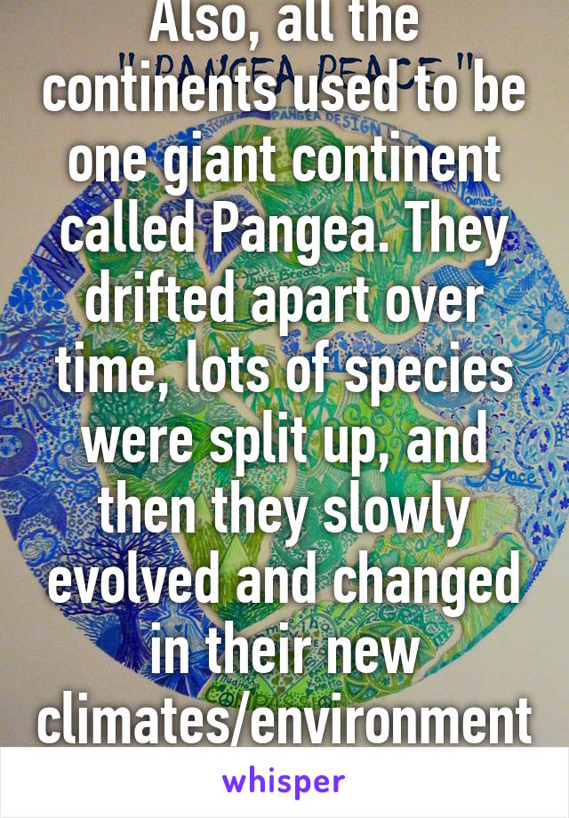 Also, all the continents used to be one giant continent called Pangea. They drifted apart over time, lots of species were split up, and then they slowly evolved and changed in their new climates/environments. 