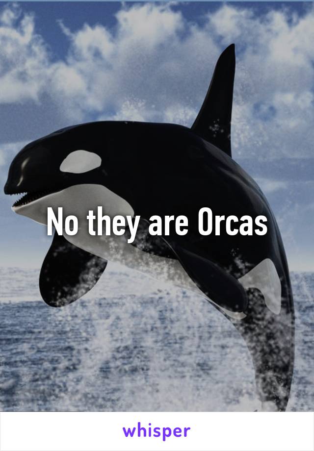 No they are Orcas