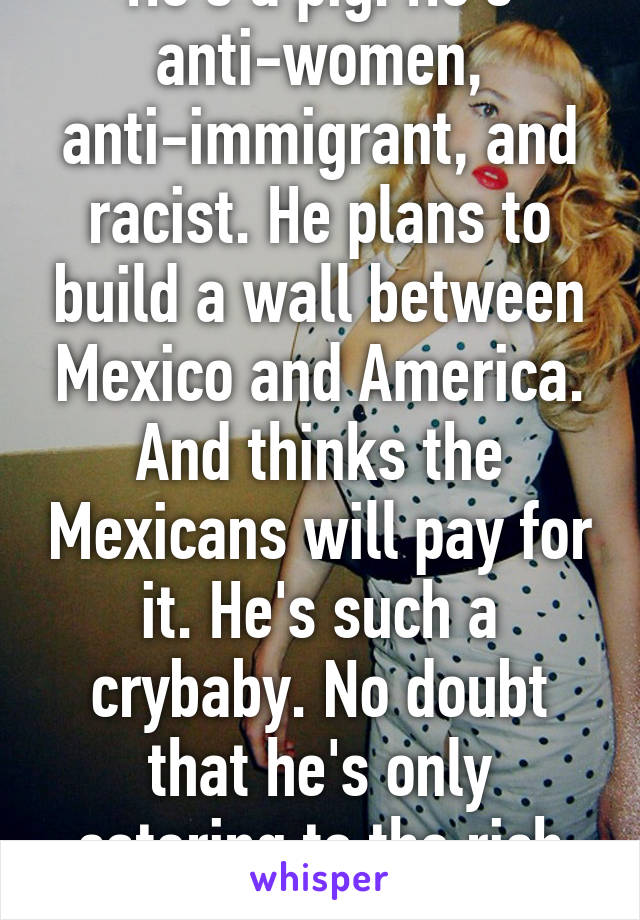 He's a pig. He's anti-women, anti-immigrant, and racist. He plans to build a wall between Mexico and America. And thinks the Mexicans will pay for it. He's such a crybaby. No doubt that he's only catering to the rich fucktards. 