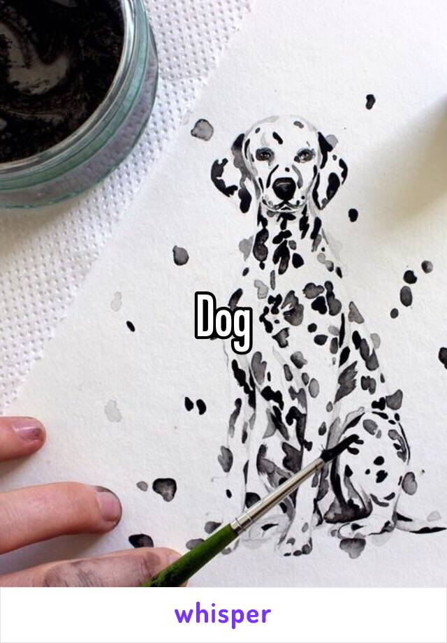 Dog