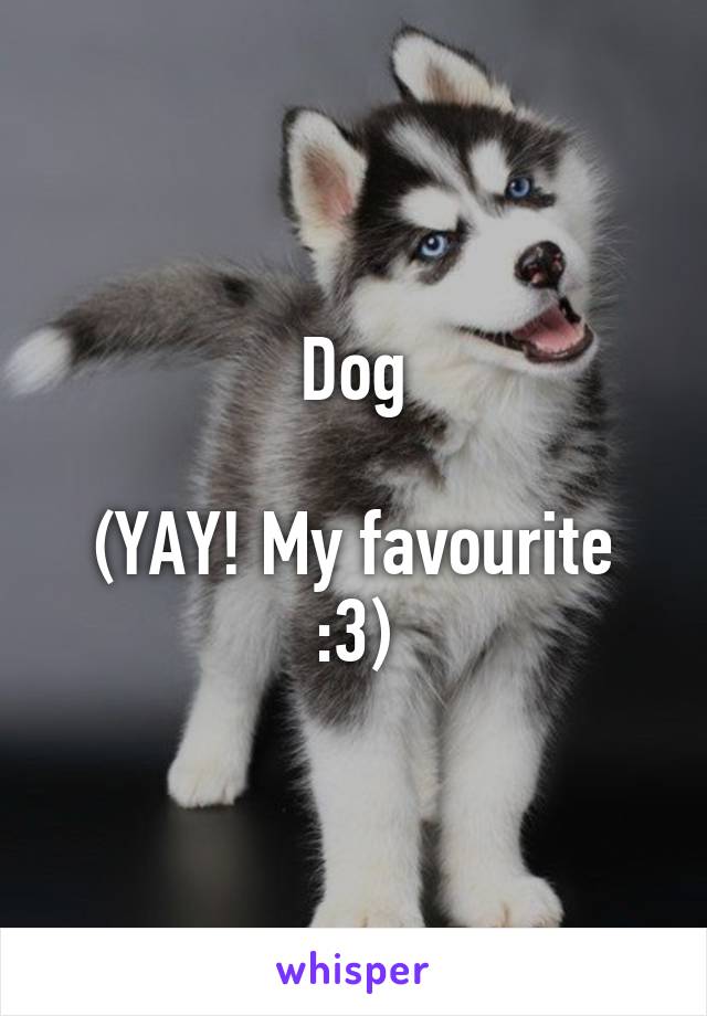 Dog

(YAY! My favourite :3)