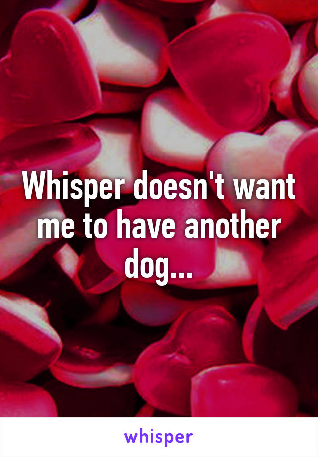 Whisper doesn't want me to have another dog...