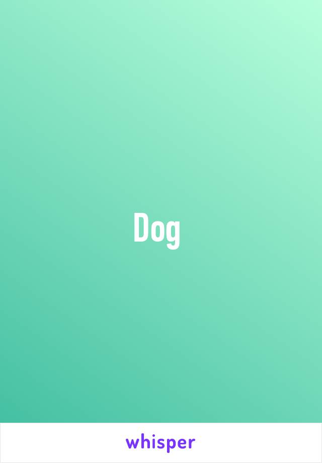 Dog 