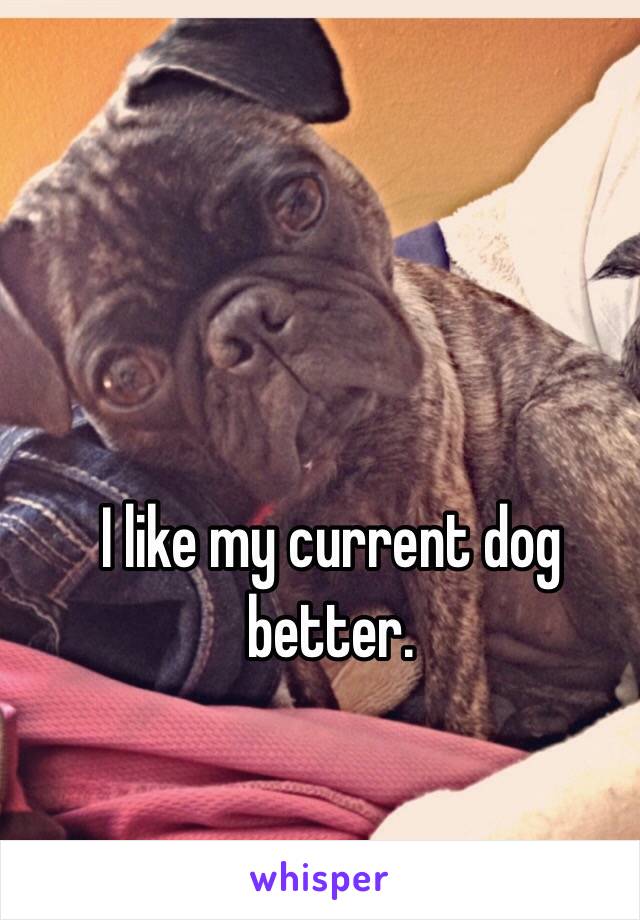 I like my current dog better.