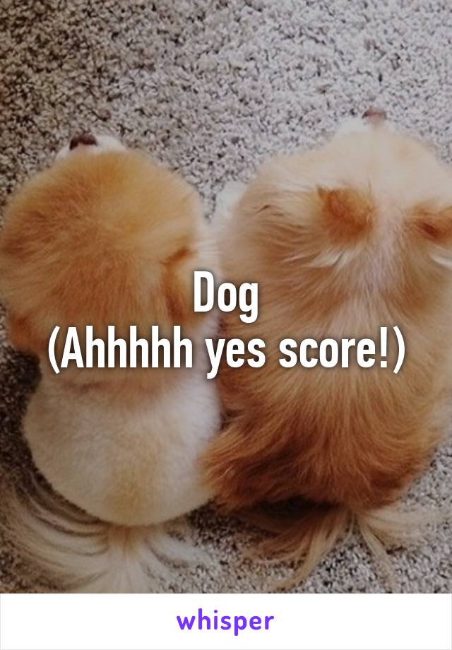 Dog
(Ahhhhh yes score!)