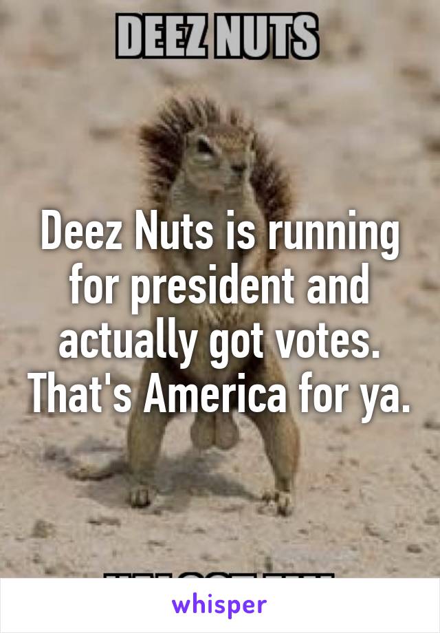 Deez Nuts is running for president and actually got votes. That's America for ya.