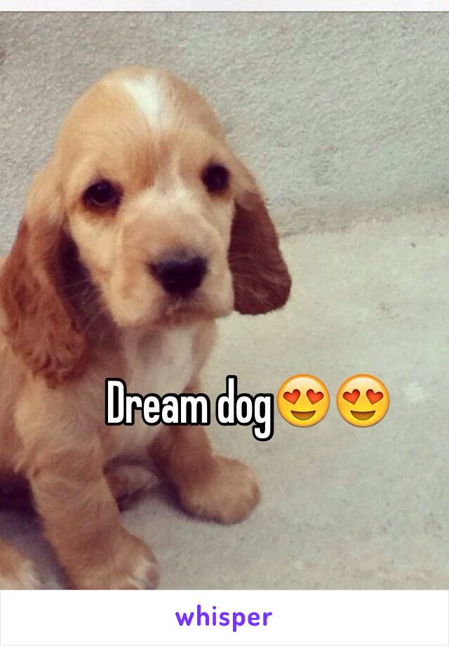 Dream dog😍😍