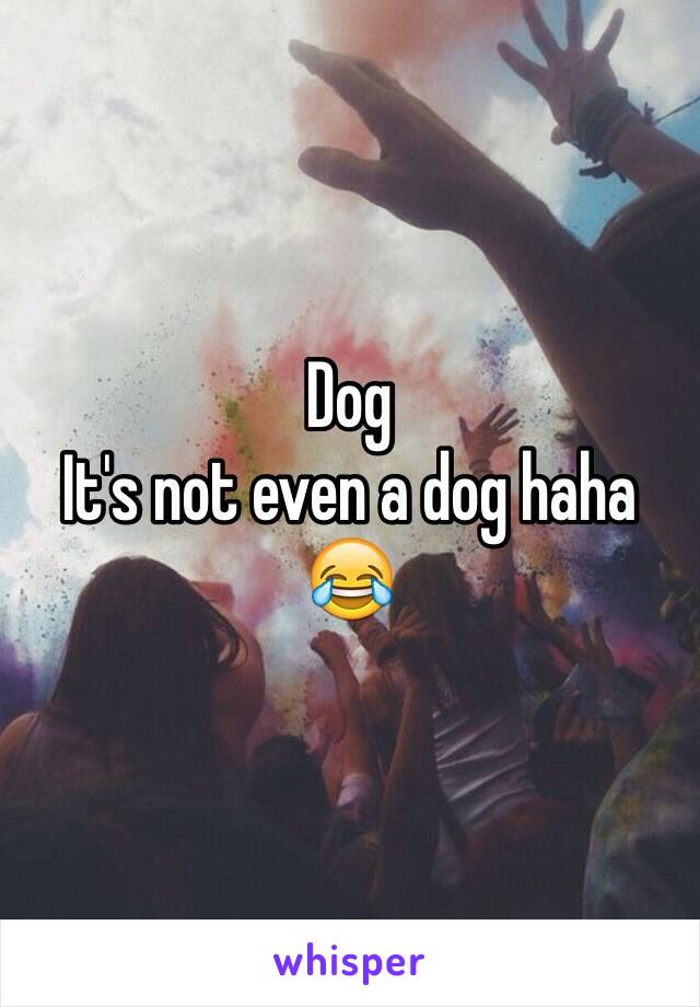 Dog 
It's not even a dog haha 😂