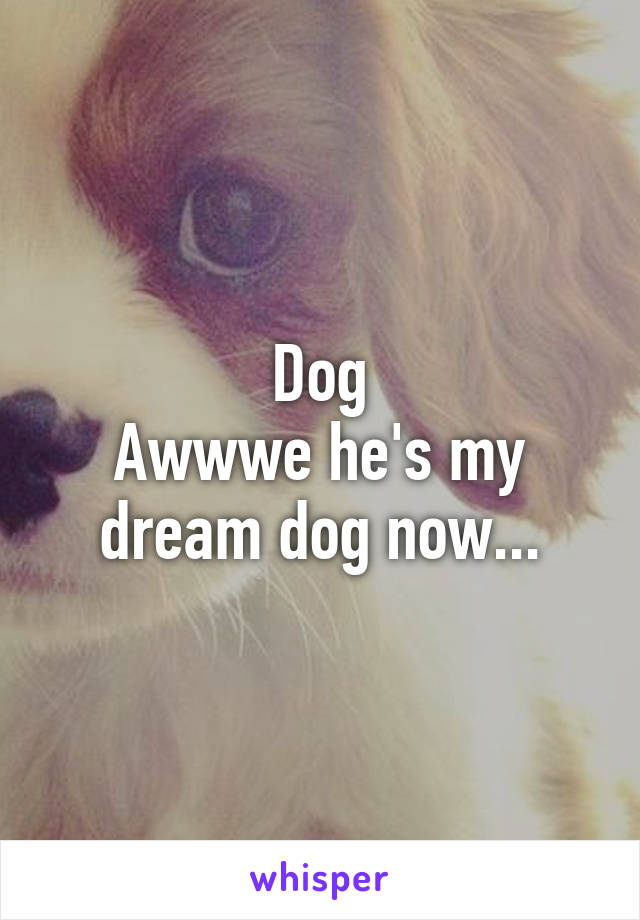 Dog
Awwwe he's my dream dog now...