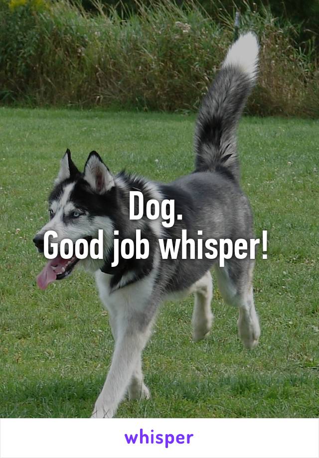 Dog. 
Good job whisper! 