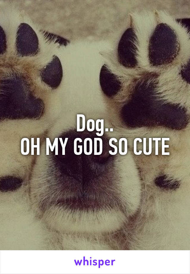 Dog..
OH MY GOD SO CUTE