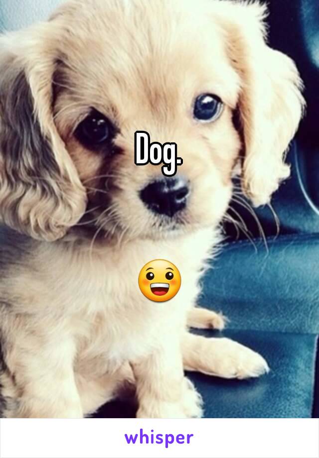 Dog.


😀