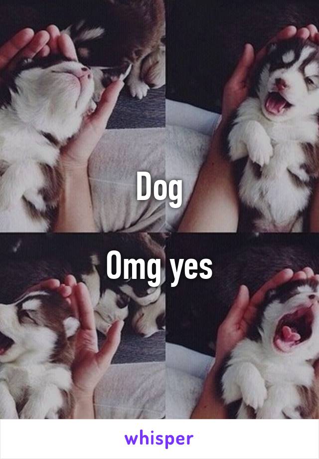 Dog

Omg yes