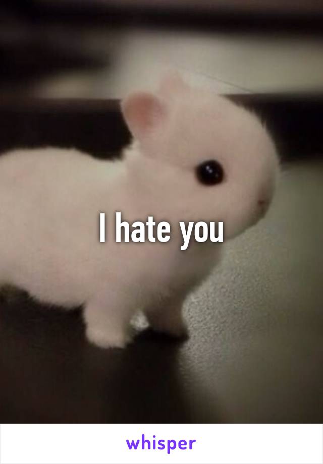 I hate you