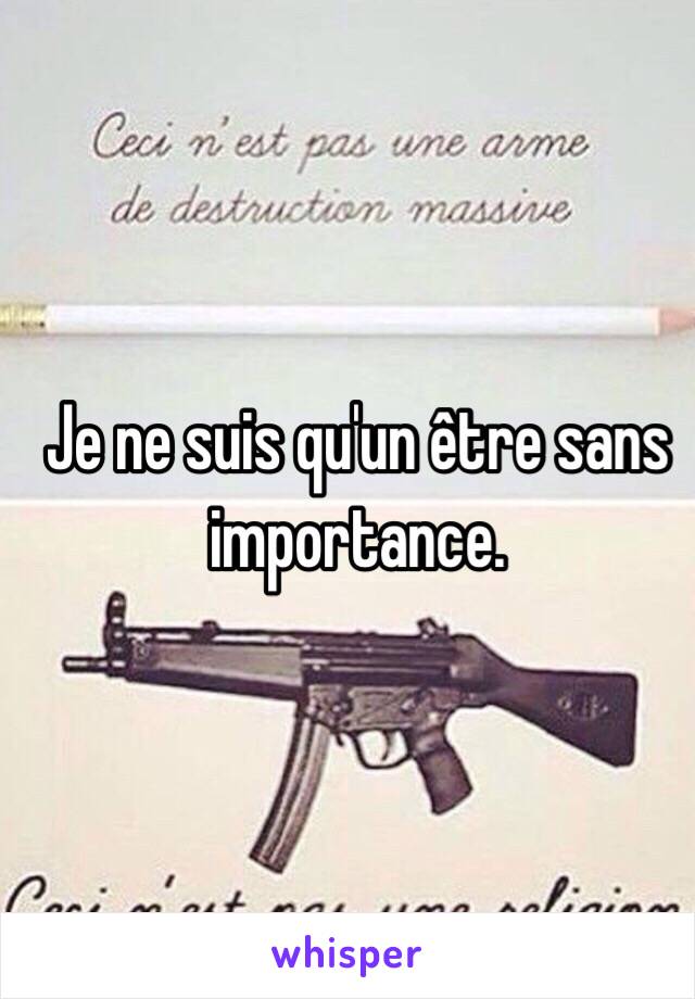 Je ne suis qu'un être sans importance.