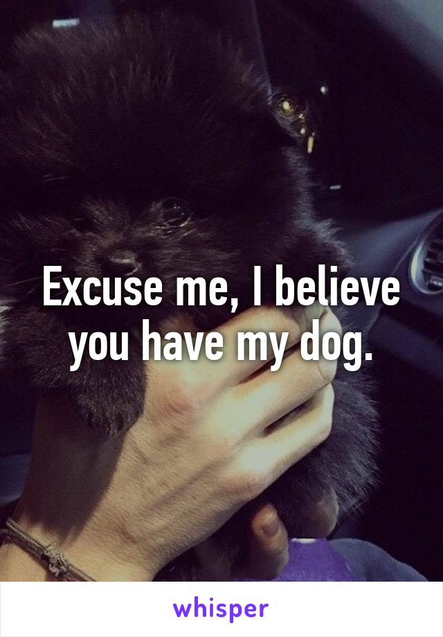 Excuse me, I believe you have my dog.