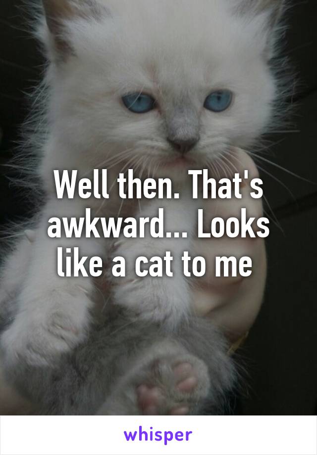 Well then. That's awkward... Looks like a cat to me 