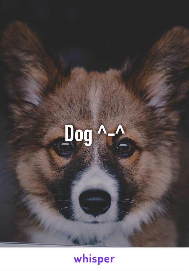 Dog ^-^