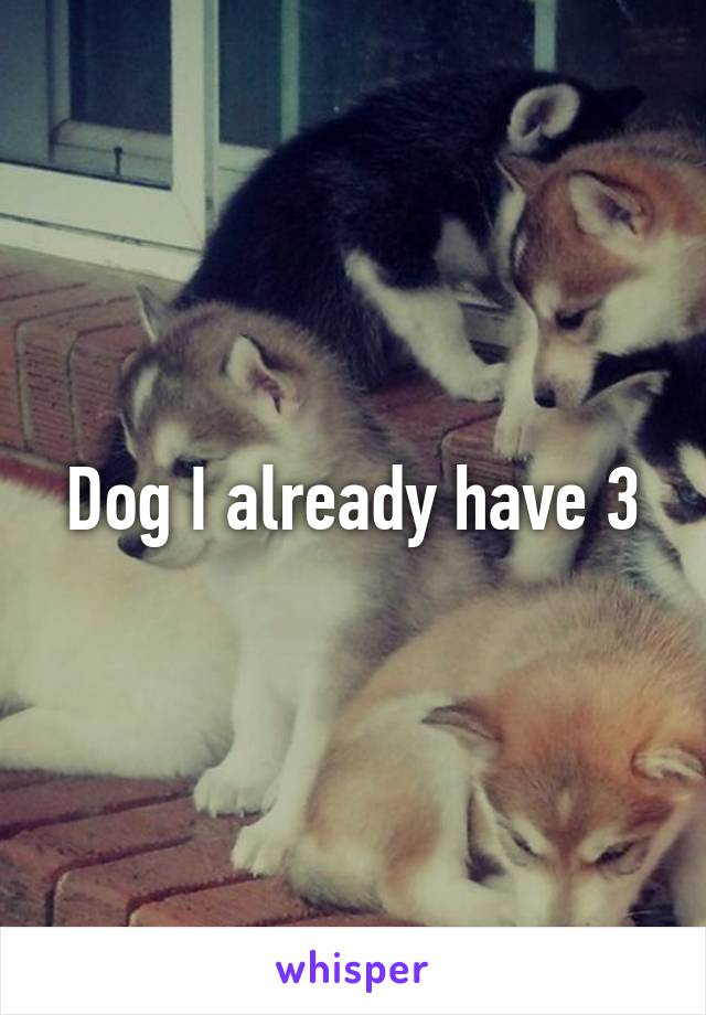 Dog I already have 3