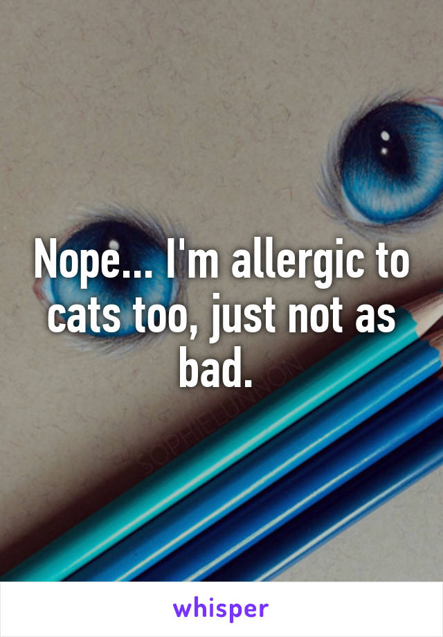 Nope... I'm allergic to cats too, just not as bad. 