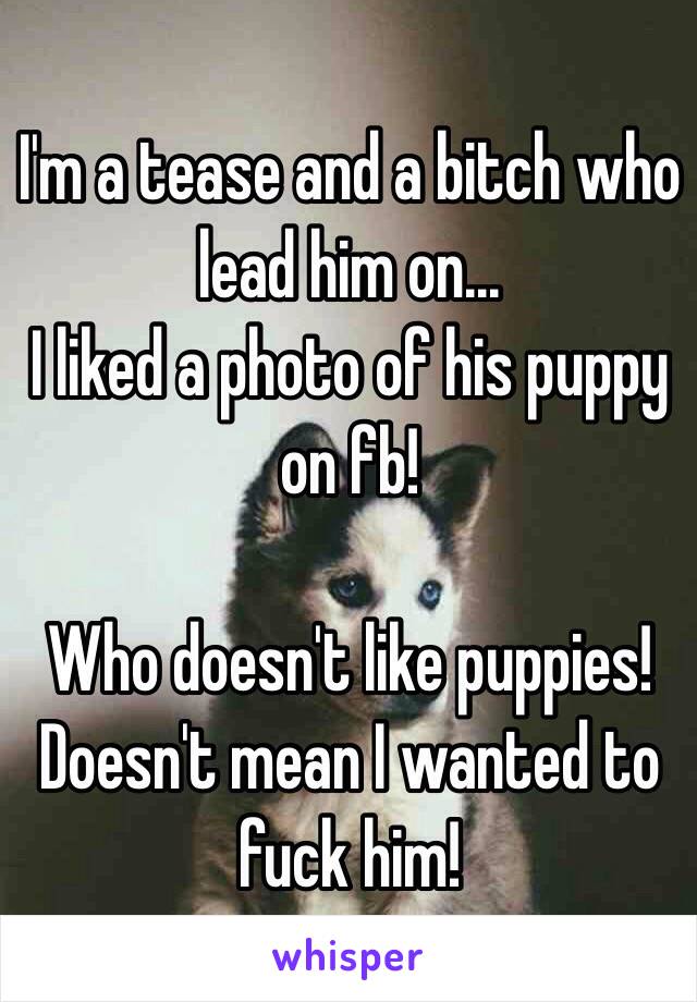 I'm a tease and a bitch who lead him on...
I liked a photo of his puppy on fb! 

Who doesn't like puppies! Doesn't mean I wanted to fuck him! 