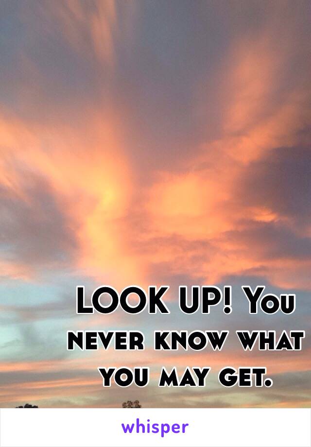 LOOK UP! You never know what you may get. 