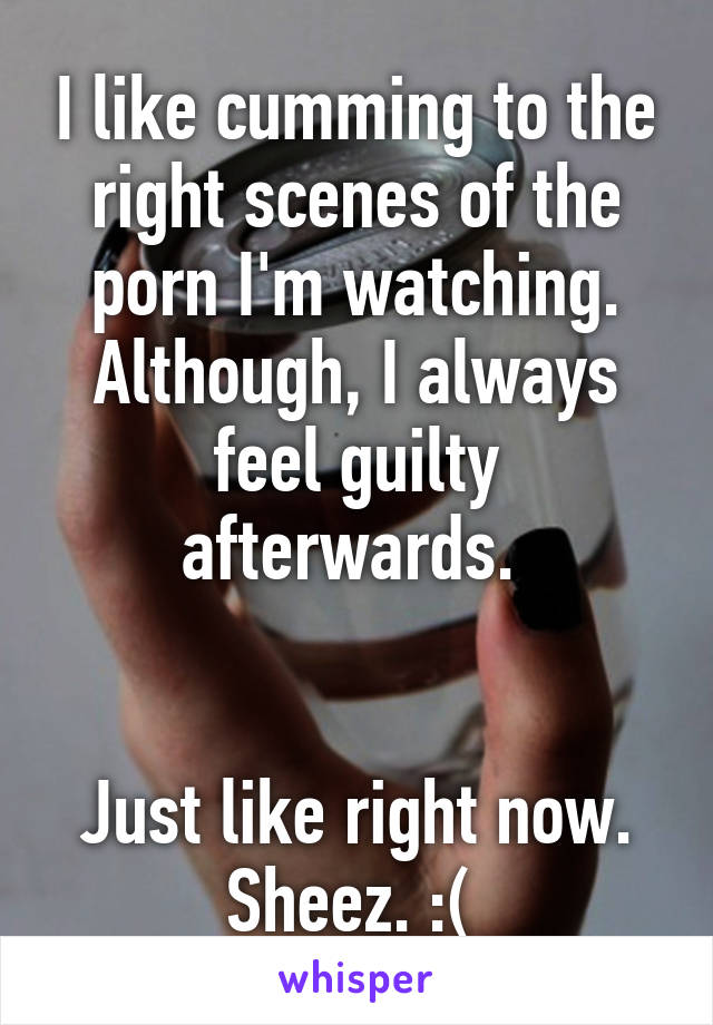 I like cumming to the right scenes of the porn I'm watching. Although, I always feel guilty afterwards. 


Just like right now. Sheez. :( 