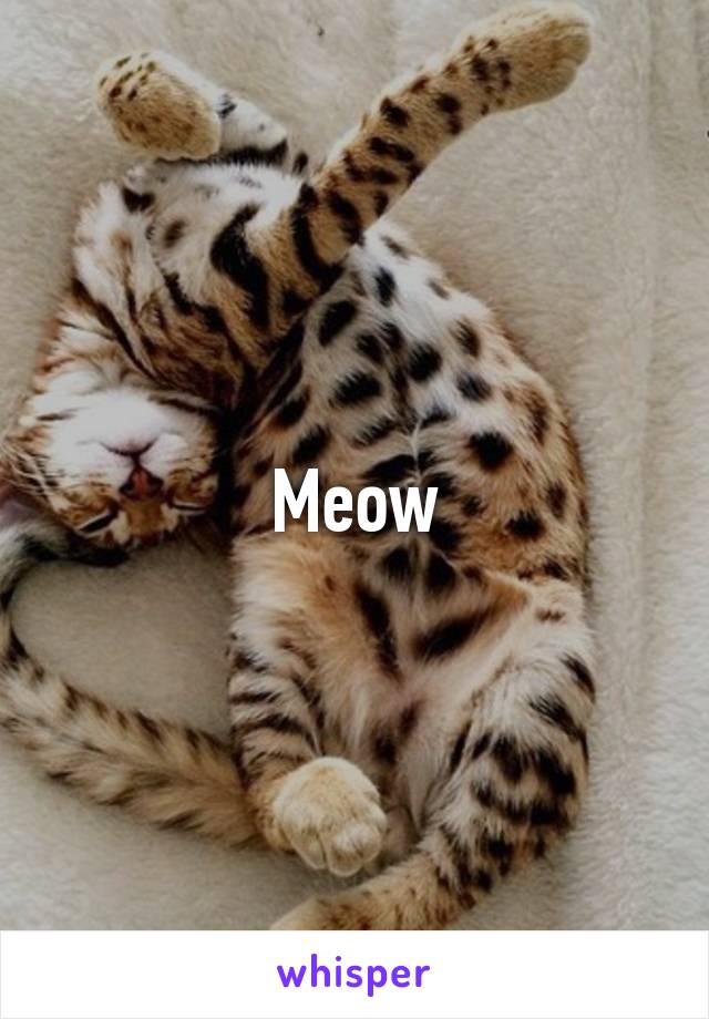 Meow