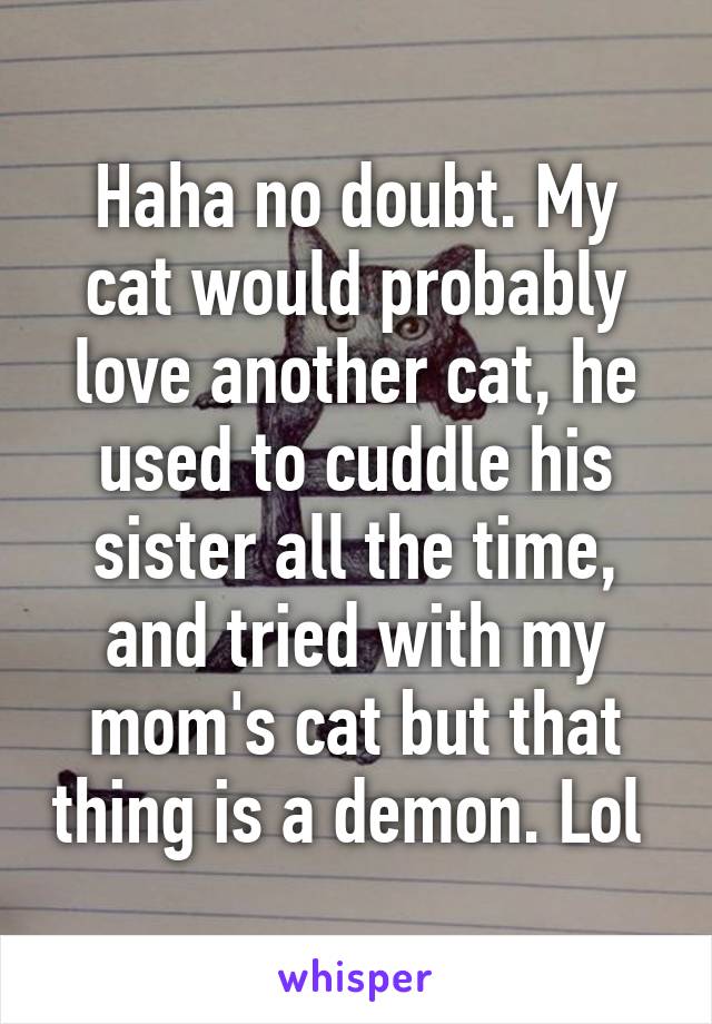 Haha no doubt. My cat would probably love another cat, he used to cuddle his sister all the time, and tried with my mom's cat but that thing is a demon. Lol 