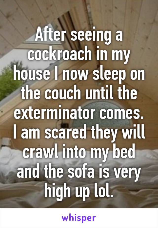 After seeing a cockroach in my house I now sleep on the couch until the exterminator comes. I am scared they will crawl into my bed and the sofa is very high up lol.