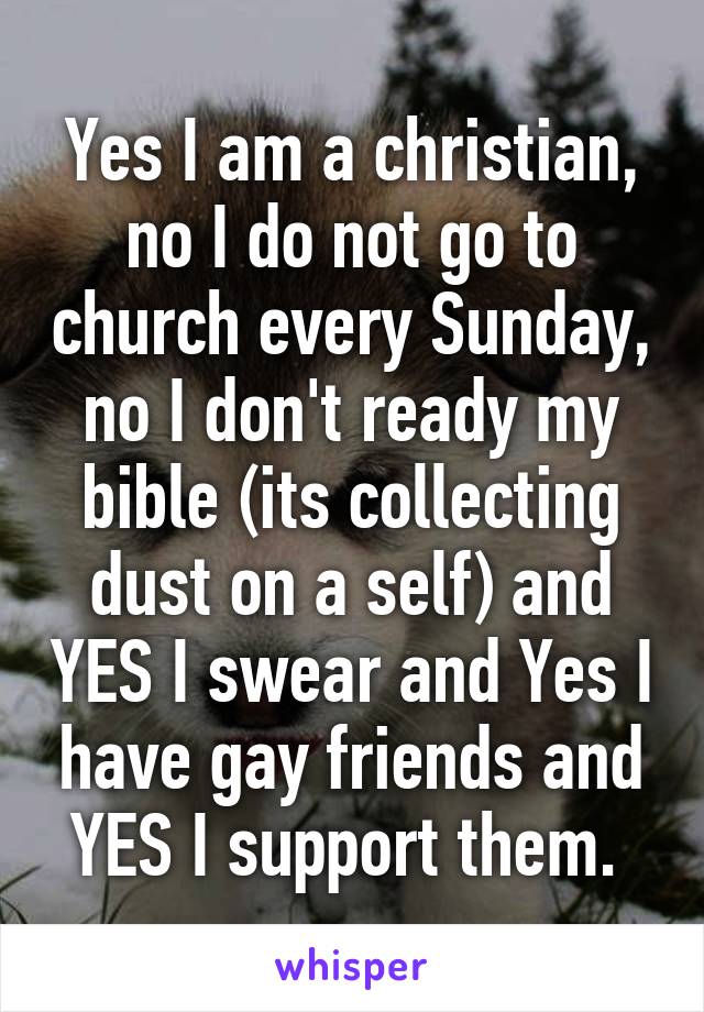 Yes I am a christian, no I do not go to church every Sunday, no I don't ready my bible (its collecting dust on a self) and YES I swear and Yes I have gay friends and YES I support them. 