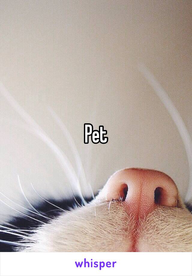 Pet